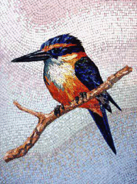 Kingfisher